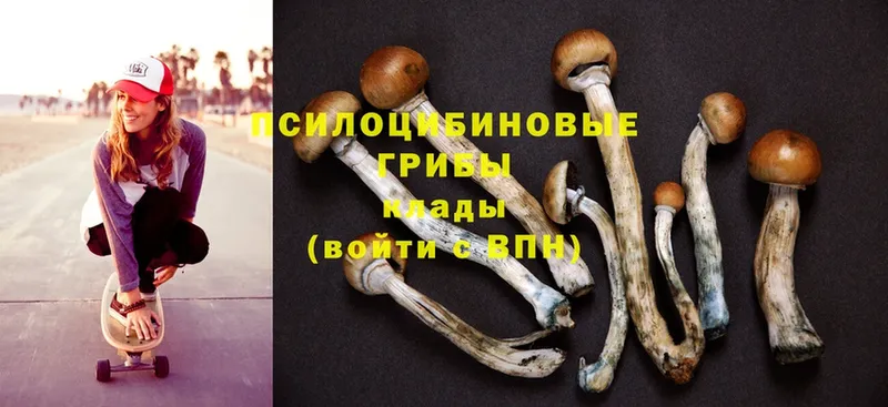 Галлюциногенные грибы MAGIC MUSHROOMS  где продают   Железноводск 